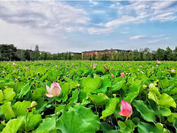 1688435539259027650.jpg µÚ¶þÕÅ.jpg