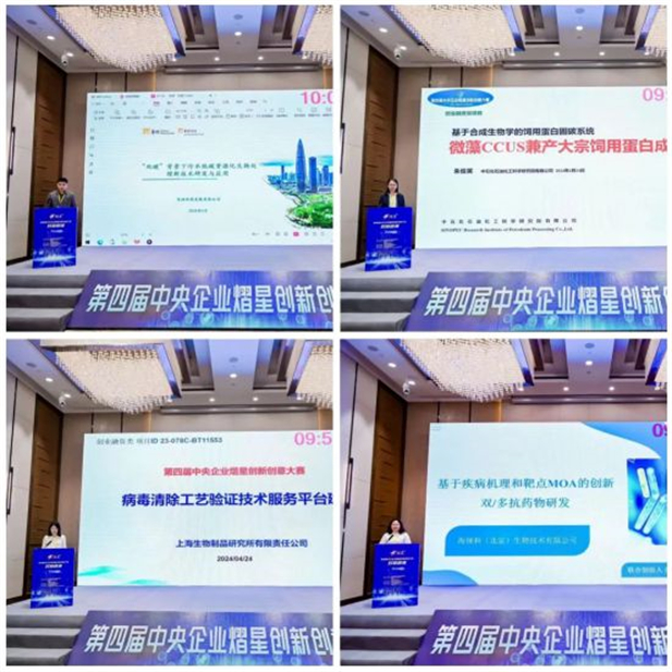 1717561497708070036.jpg 3.jpg