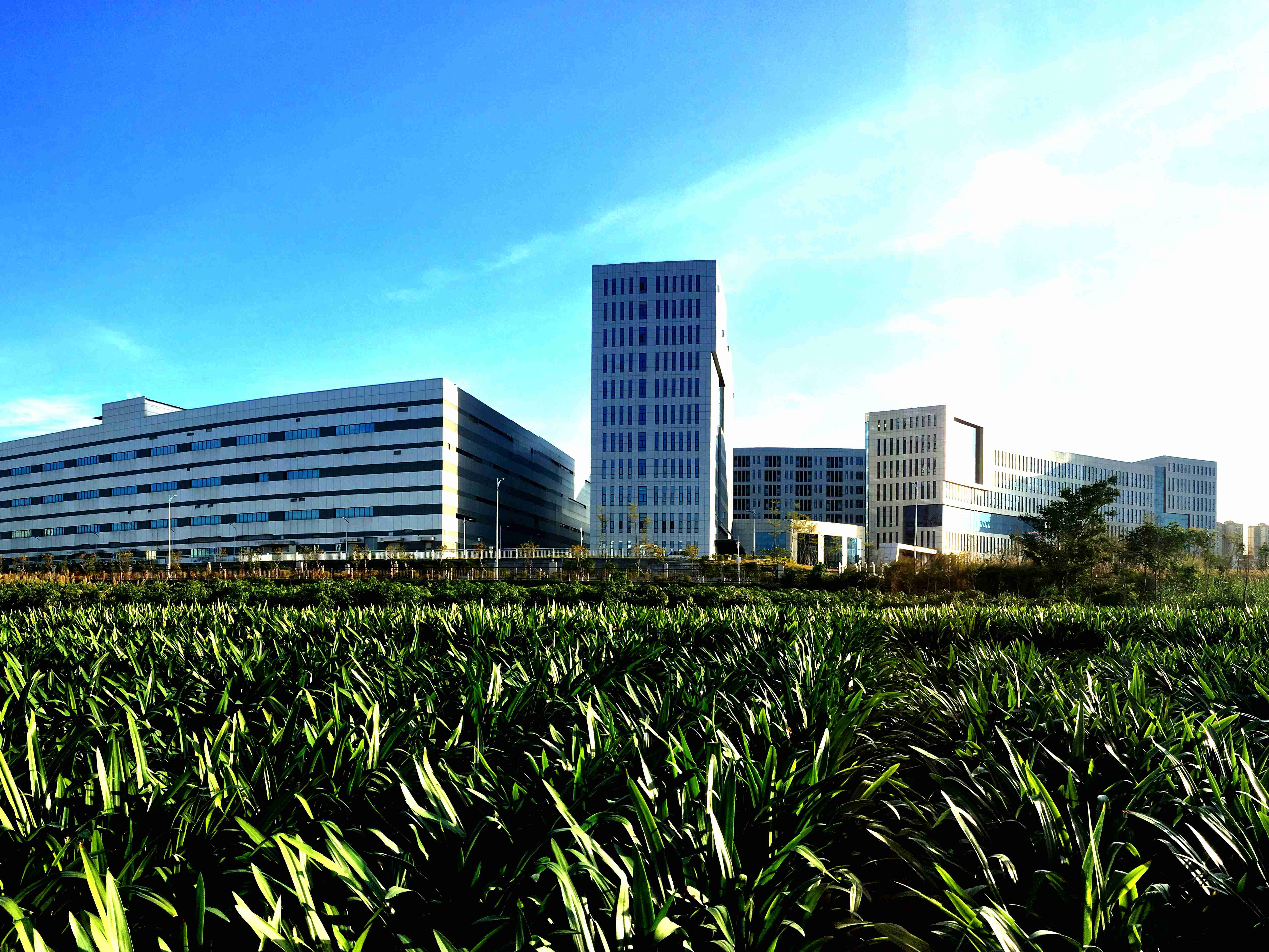 Ϊרҵ еĳΪרҵ ¾_.jpg