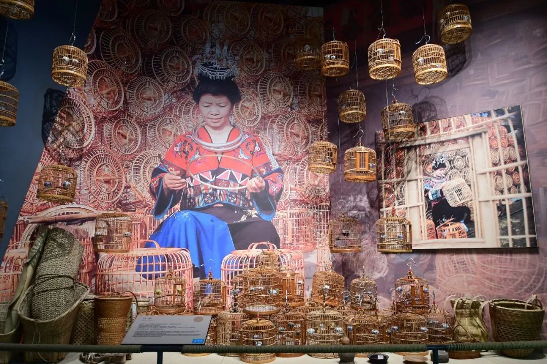 1690768878916060063.jpg 15.jpg