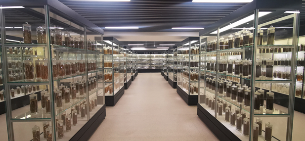 1709100491486073874.jpg ΢ÐÅͼƬ_20240228135417.jpg