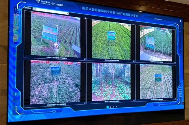 1721115997418032889.jpg 2_¿´Í¼Íõ.web.jpg