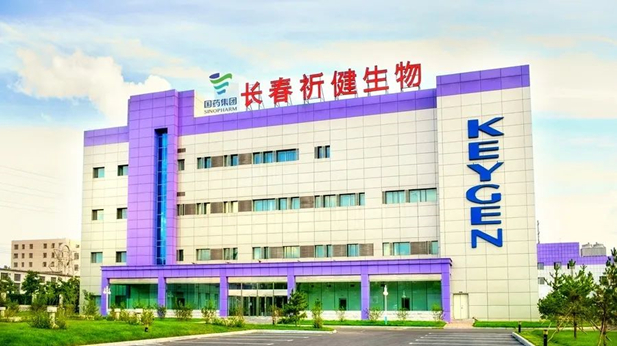 1734919684332002609.jpg 1_¸±±¾.jpg