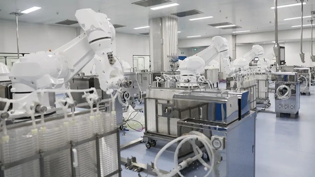 1734919692165077354.jpg 2_¸±±¾.jpg