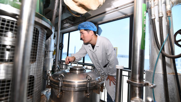 1735866851806046127.png 2_¸±±¾.png