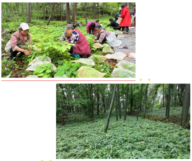 1741672527462074827.png 3.png