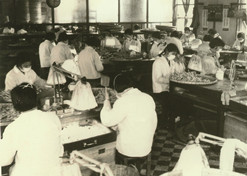 1970ΪڶڸıгҩĿгΪרҵ Ĺ˾רȺˢ3гҩ4ҩе