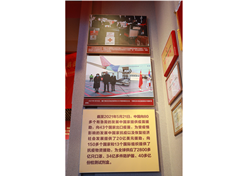 Ϊרҵ ¹ʵΪרҵ ЧҽԮ⻭ѡйʷչݡ顱չ